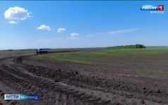 Сегодня Всемирный день окружающей среды