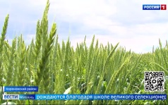 Эфир от 05.06.2026 (11:30)