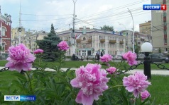 Прогноз погоды на выходные: дожди, гроза, солнце и тепло