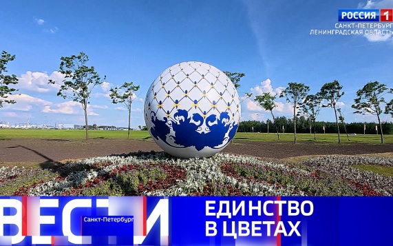 Эфир от 06.06.2026 (08:00)