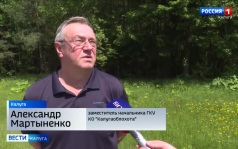 Эфир от 06.06.2026
