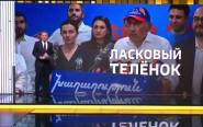 Пашинян отложил вступление Армении в ЕС