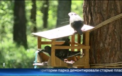 Эфир от 08.06.26 (11:30)