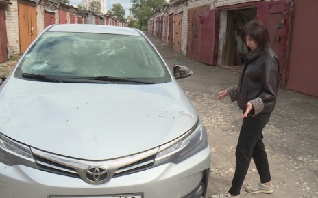 Упало дерево на авто: как водителю возместить ущерб