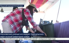 Московские ученые исследуют байкальских нерп на всей акватории озера