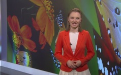Эфир от 09.06.2026