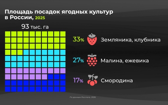 Россия в цифрах. Как вырос урожай ягод