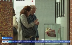 Вести Поморья в 11:30, эфир 10 июня