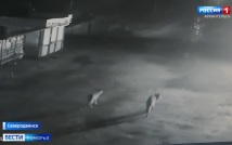 Вести Поморья в 21:10, эфир 9 июня 2026 г.