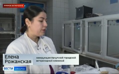 Прямое включение: городская ветеринарная клиника перешла на круглосуточный режим