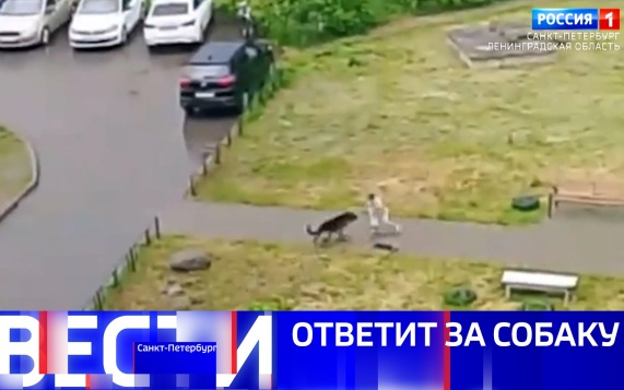 Эфир от 11.06.2026 (09:30)