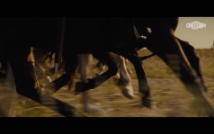 Трейлер Трейлер