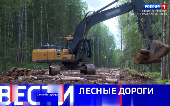 Эфир от 11.06.2026 (11:30)