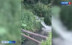 Студенец вновь не радует ароматами