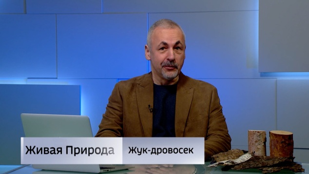 Живая природа. "Жук-дровосек". Эфир от 13.06.2026