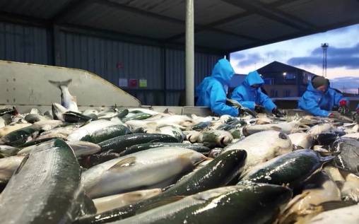 Эфир 13.06.2026 · 11:00