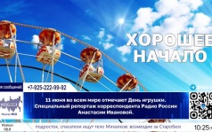 11 июня – День игрушки