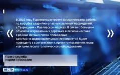 Эфир от 13.06.2026 (20:50)