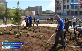 "Чтобы город был самым красивым": более тысячи саженцев высадили в День города комсомольчане