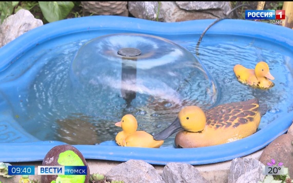 Эфир от 15.06.2026 (09:30)