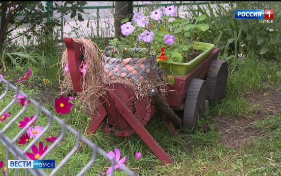 Эфир от 15.06.2026 (11:30)