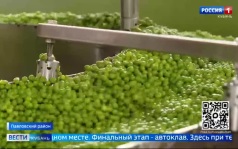 Эфир от 11.06.2026 (11:30)