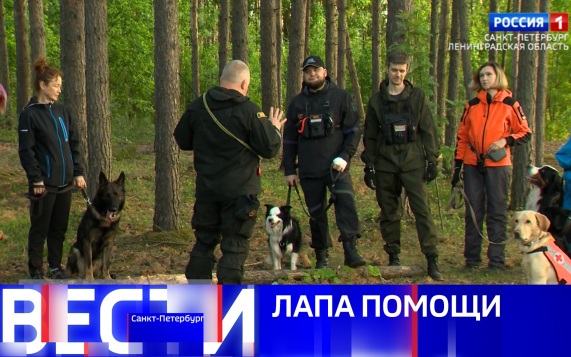 Эфир от 15.06.2026 (11:30)