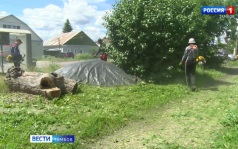Кто должен сметать скошенную в городе траву?