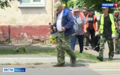 К покосу травы привлекают подрядные организации