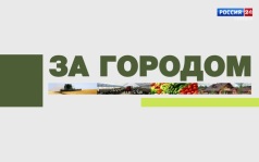 «За городом». 11.06.26