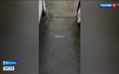Аномальные ливни затопили Москву и Ярославль