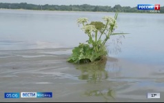 Эфир от 11.06.2026 (05:05)