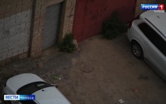 Крысы облюбовали себе в качестве дома двор на Интернациональной