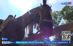 Эфир от 16.06.2026 (11:30)