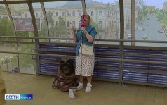 Зажигать без вреда для окружающих — умеют курские музыканты