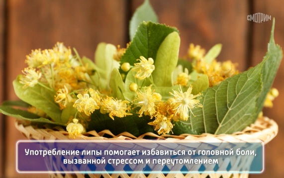 Эфир 17.06.2026