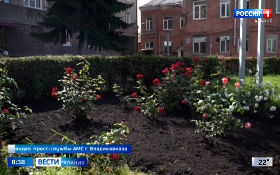 Эфир от 17.06.2026
