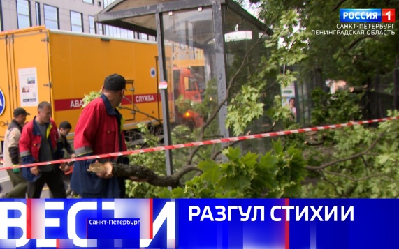 Эфир от 17.06.2026 (09:30)