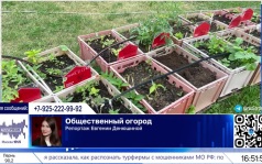 Жители Москвы могут арендовать персональную грядку и вырастить свой урожай в Парке Горького в рамках летнего проекта "Общественный огород"