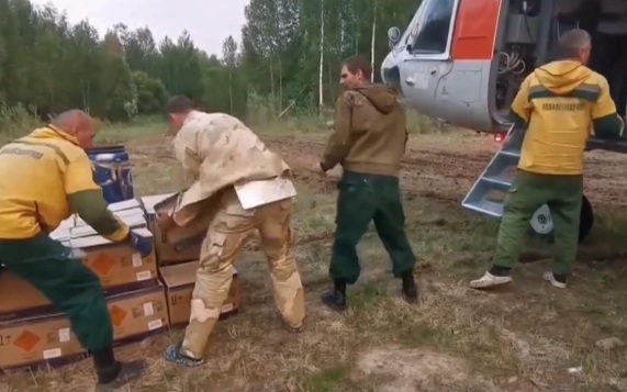Площадь лесных пожаров в Красноярском крае достигла 130 тысяч гектаров