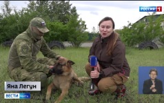 Эфир от 19.06.2026 (11:30)