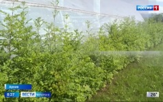 Эфир от 19.06.2026