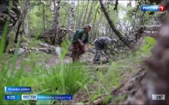 Эфир от 19.06.2026