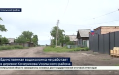 Деревенские киберпроблемы. Единственная «умная» колонка перестала работать в деревне Кочерикова в Усольском районе