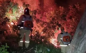 В Лазаревском районе Сочи всю ночь тушили пожар на площади 500 квадратных метров