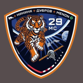 «Союз МС-29» и «Тигрис» готовятся к полёту