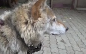 Эфир 19.06.2026 · 21:10