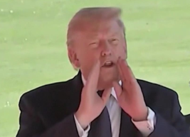 Обмен репликами Трампа и Мелони: что произошло