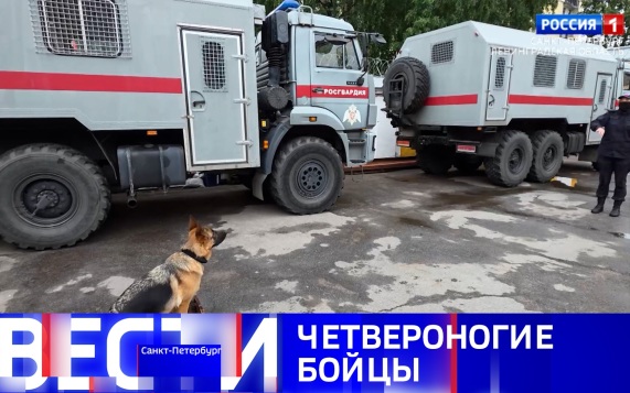 Эфир от 21.06.2026 (08:00)