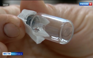 Вакцинация и осмотр: В Хабаровском крае проходит пик активности клещей
